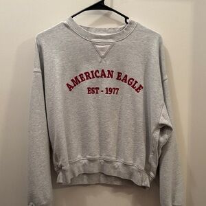 American Eagle Outfitters Light Gray Crew Neck Sweater